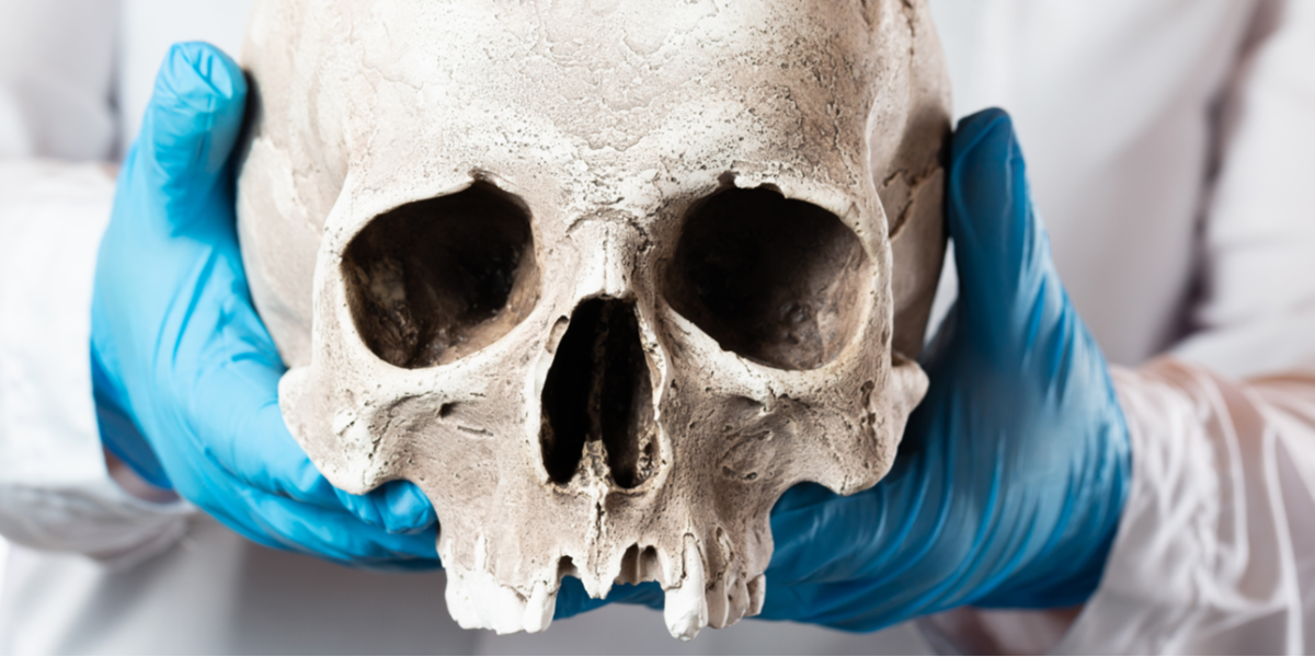 Department of Forensic Medicine and Toxicology Bridging Medicine and Law