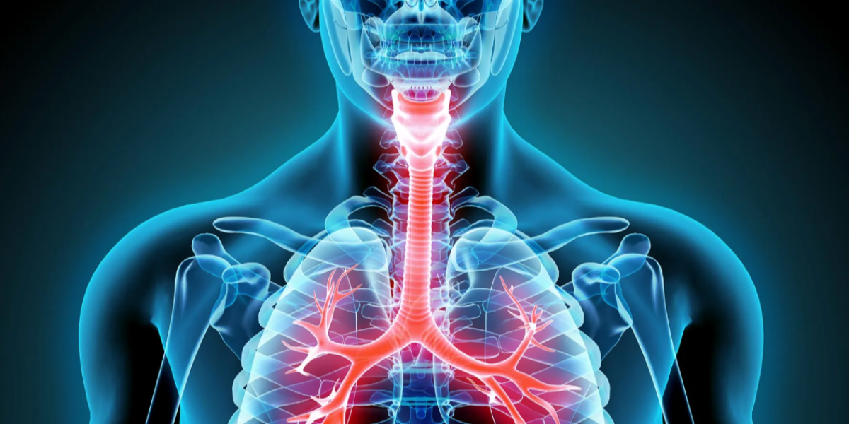 Department of Physiology Exploring the Science Behind Human Body Functions