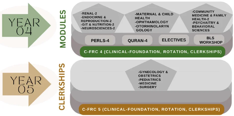 Curriculum 1