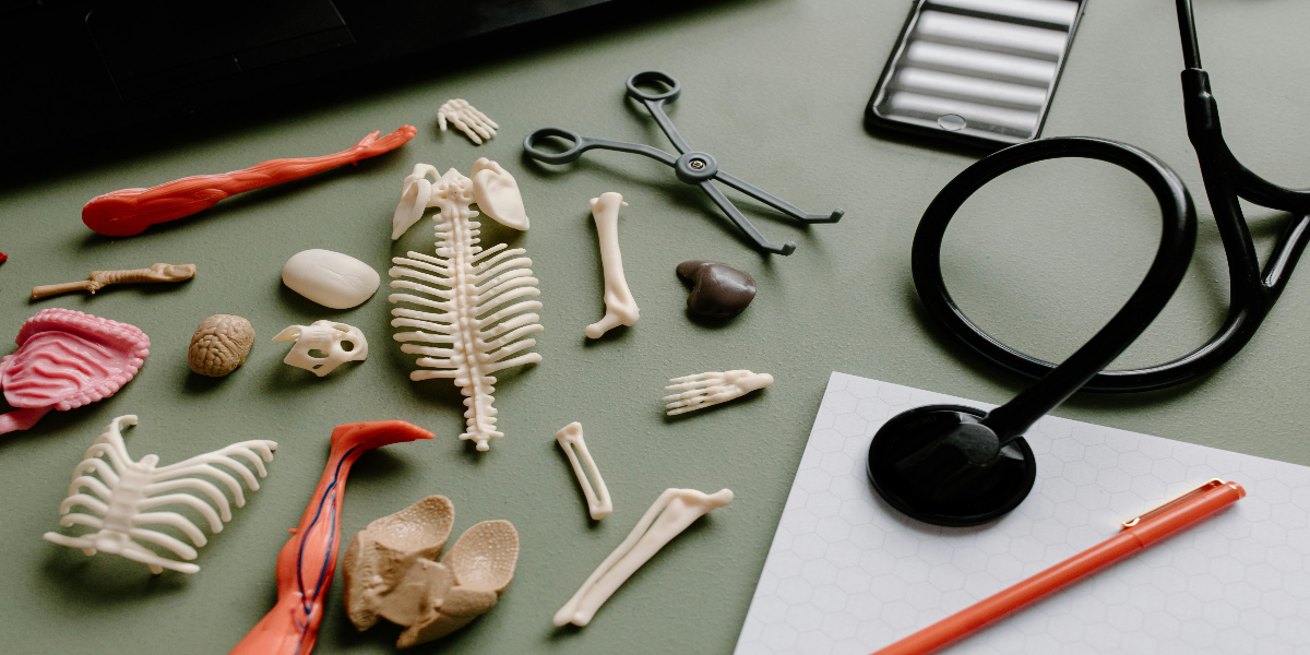 Importance of Research in Medical Education