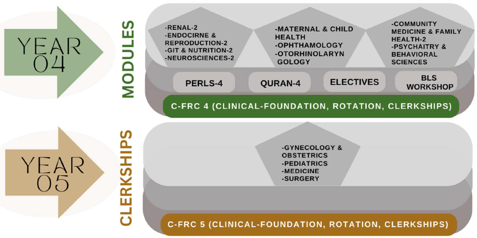 Curriculum 1