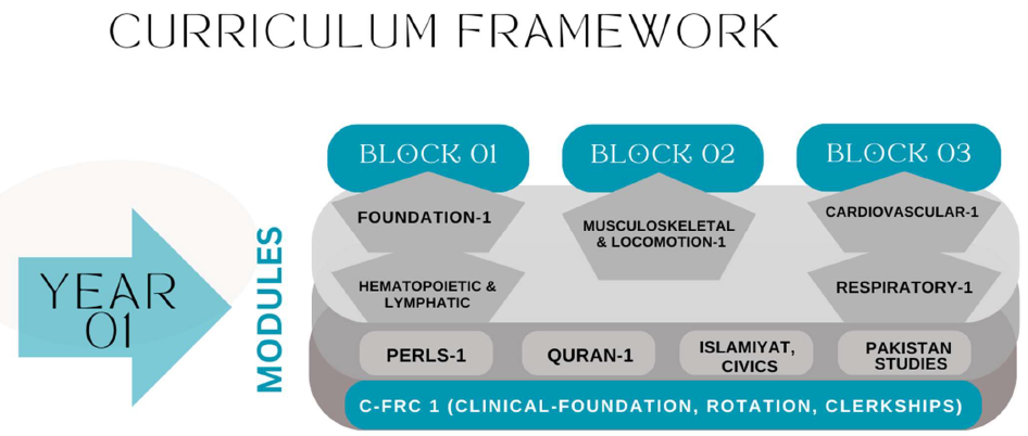 Curriculum 1